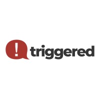 Triggered logo - Similar company to Design Twig