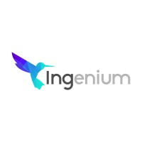Ingenium LA logo - Similar company to Engineering Solutions For Quality
