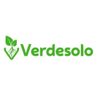 Verdesolo logo - Similar company to Cfo Online
