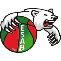 ESAB BASKET logo - Similar company to Seba Motorisation