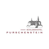 Schloss Purschenstein logo - Similar company to Cyberlab