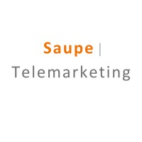 Saupe Telemarketing eine Marke der Dialogmarketing-Plus GmbH logo - Similar company to Luftdata