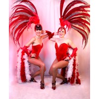 Cabaret Versatile logo - Similar company to Cabaret Extravagance