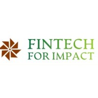 Fintech for Impact logo - Similar company to Fintech&Co