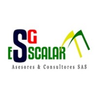 SG Esscalar Asesores & Consultores SAS logo - Similar company to Interaudit S.A.