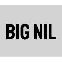 BIG NIL logo - Similar company to Selfctrl