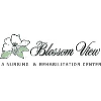 Blossom View Nursing Home