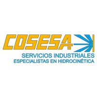 COSESA SERVICIOS INDUSTRIALES logo - Similar company to Cosesae