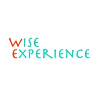 Wise Experience logo - Similar company to Wiser Experience Latam