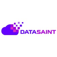 DataSaint Ltd logo - Similar company to Matrix Design Africa