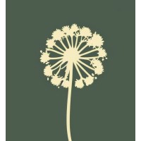 Ambit Labs logo - Similar company to Io Industries Inc.