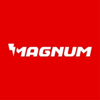 Imanes Magnum logo - Similar company to Idemag - Magnets And Magnetic Developments