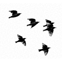 Starling Research Ltd.