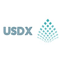 USDX Securities Corp logo - Similar company to Usdx