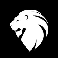 White Lion Consulting logo - Similar company to Hkowt Suisse Sa