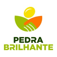 PEDRA BRILHANTE TRADING DE GRAOS LTDA logo - Similar company to Bgp