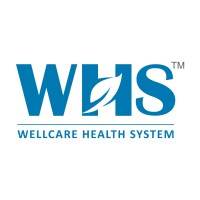 Wellcare Health System logo - Similar company to General Sentiment