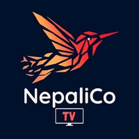 NepaliCo Tv logo - Similar company to Everest Intelligence Group