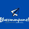 Bluesmmpanel.com logo - Similar company to Did You Know ?