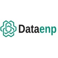 Data Engineering Projects Limited logo - Similar company to Data Analytics For Intelligent And Autonomous Systems (Delta)