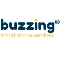 Buzzing® logo - Similar company to Mrd Tools