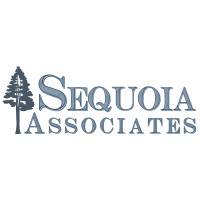 Sequoia Associates logo - Similar company to Arabia Holdings