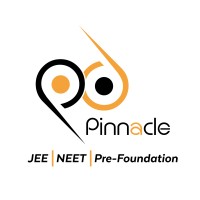 Pinnaclo EduCare logo - Similar company to Matrixecho Technologies