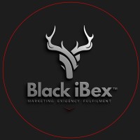 Black iBex logo - Similar company to Fintechtik