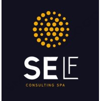 Self Consulting Spa logo - Similar company to Lead Logistics