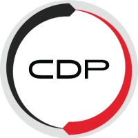 Certified Digital Professional logo - Similar company to Ceis | Iem: Energy Consultants
