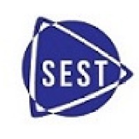 Soluciones Estratégicas logo - Similar company to Demco Software