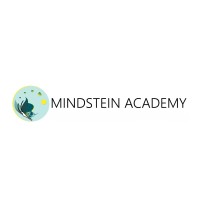 Mindstein Academy logo - Similar company to Ecotact Bags