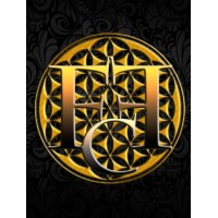 Financial Freedom Creator logo - Similar company to Business Hub