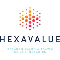 HEXAVALUE logo - Similar company to Ca Advisory
