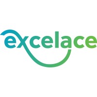 Excel Ace logo - Similar company to Pyxll