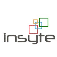 Insyte Consultancy Services logo - Similar company to Salt Rank