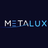 MetaluxTech logo - Similar company to Codegxiq
