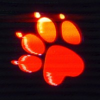 Naughty Dog logo - Similar company to Larian Studios