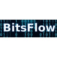 BitsFlow Technologies logo - Similar company to Tca : Training & Development Gurgaon