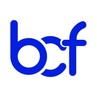 Bright Coders' Factory logo - Similar company to Smartbees