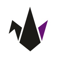 CHETINKAYA Branding logo - Similar company to Fima Pr