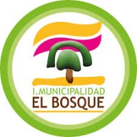 Municipalidad de El Bosque logo - Similar company to Barú Engineers