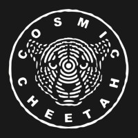 Cosmic Cheetah logo - Similar company to Cheetah Solar