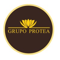 Grupo Protea logo - Similar company to Scientia