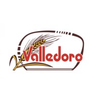 VALLEDORO S.P.A. logo - Similar company to Prisma Engineering