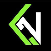 Netlink Solutions logo - Similar company to Tech  Solutionor