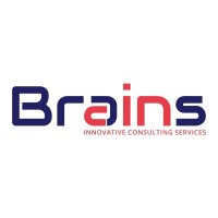 BRAINS ICS logo - Similar company to Dynamic Vision Pc.