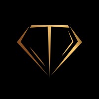 Tempo Luxury Restaurant logo - Similar company to Cwaninga Group (Pty) Ltd