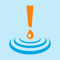 Wellspring International Education logo - Similar company to Ridgeback Recruiting