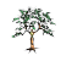 Moringa - Miracle Tree logo - Similar company to Chuksprime